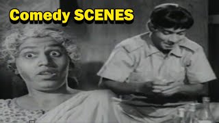 Cross Belt Malayalam Movie Comedy Scenes  Sathyan  Sharada  Super Cinema Malayalam [upl. by Smoht]