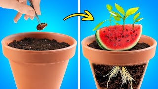 Watermelon Gardening 🍉🍉 And Satisfying Cut And Peel Hacks [upl. by Valenza903]