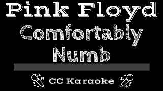 Pink Floyd • Comfortably Numb CC Karaoke Instrumental Lyrics [upl. by Dyann]