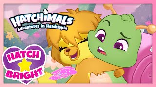 Hatchimals Hatch Bright Episodes 1 to 5  Adventures in Hatchtopia Compilation  Cartoon for Kids [upl. by Dlonyer591]