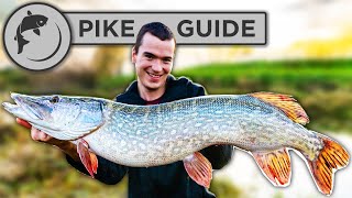 A Beginners Guide To Pike Fishing  Tactics Bait Lures Rigs and Unhooking [upl. by Anauqat611]