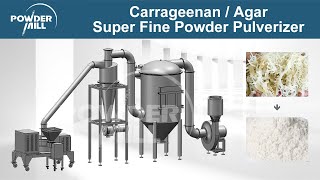 Carrageenan  Agar  Seaweed Stainless Steel Super Fine Powder Pulverizer Machine  Mill Powder [upl. by Nonie]