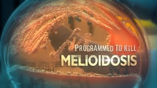 Programmed To Kill Melioidosis  Official Trailer 2016 [upl. by Chatwin]