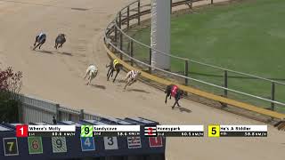 Gawler08112024Race2 [upl. by Horsey]