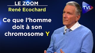 Différences hommefemme  les révélations des neurosciences   Le Zoom  René Ecochard  TVL [upl. by Christos]