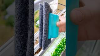 Window cleaner gadget 😱shorts viralvideo video [upl. by Penhall]