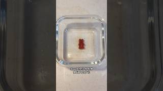 把小熊軟糖變巨大的方法 天才懂吃 實驗 小熊軟糖 軟糖 gummybears gummies [upl. by Emmi]