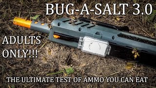 BugASalt 30 Black Fly Edition Bug Assault with Yellow Jacket Wasps DO NOT DO THIS for flies only [upl. by Aimek]