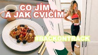 VLOG  ZDRAVÉ recepty a nová WORKOUT RUTINA [upl. by Bowe]