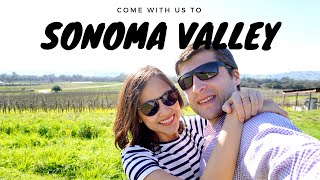 Sonoma Valley Wineries Tour  Best Wineries amp Itinerary  California VLOG [upl. by Dalston545]