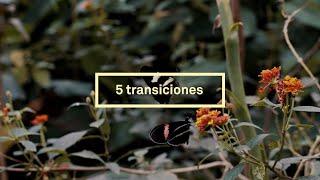 Las 5 transiciones que busca Triodos Bank [upl. by Idaline783]