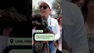 Peruvians line up to get pets blessed  ABC NEWS [upl. by Philina]