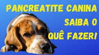 Pancreatite Canina Tipos Sintomas Como Controlar e o que [upl. by Doowrehs]