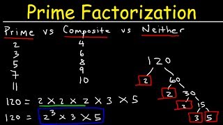 Prime Factorization Explained [upl. by Noyek501]