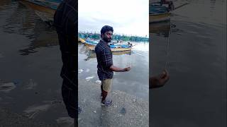 Unbelievable Big Fish Catch with 12 EMPTY Hooks fishing fishingvideos thoondilulagam seafishing [upl. by Anilrac]