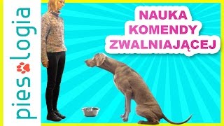 Nauka komendy zwalniającej [upl. by Radborne17]