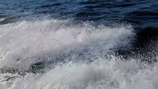 SloMo Water Boat Spray whitenoise satisfying [upl. by Lj]