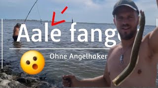 Aale angeln ohne Haken und so wird gemacht Aal Spezial Vol2 angeln fishing aal outdoors eel [upl. by Enutrof]