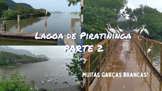 Lagoa de Piratininga  Niterói  PARTE 2 [upl. by Buskirk]