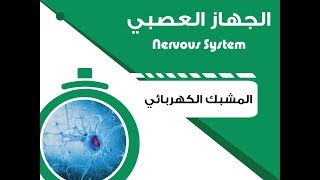 The Electrical Synapse  المشبك الكهربائي [upl. by Anivlem]