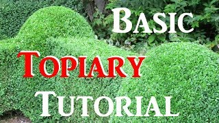 How To Do Basic Topiary  Tutorial [upl. by Boudreaux937]