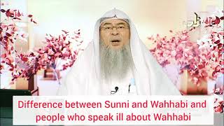 Difference between Sunni amp Wahabi and people who speak ill about Wahabis  Assim al hakeem [upl. by Anahsor]