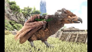 How To Get The Harpagornis In Ark  Ark How To [upl. by Asilram]