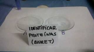 Reacción de biuret para proteínas [upl. by Mcconnell]