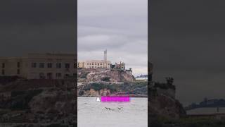 Was The Alcatraz Prison Really Inescapable truecrimeinvestigation truecrimestories alcatraz [upl. by Vasiliki]