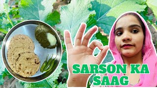 Sarson Ka Saag Banane Mein Pura Din Lag Gaya 🧑🏻‍🍳😳 Jaylalita Vlogs [upl. by Latham]