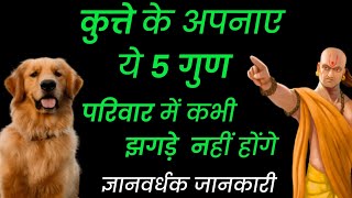 कुत्ते के अपनाए ये 5 गुण परिवार में कभी झगड़े नहीं होंगे। Chanakya Niti learning। chanakyaniti [upl. by Mickie]