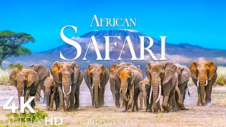 African Safari 4K • Wildlife Relaxation Film with Peaceful Relaxing Music and Animals Video Ultra HD [upl. by Leunammi]