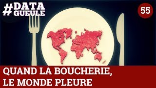 Quand la boucherie le monde pleure  DATAGUEULE 55 [upl. by Sset149]