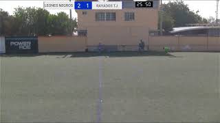 1TCID LEONES NEGROS vs RAYADOS TJ CAT2017Final Recopa Liga Menor de Tijuana 2024 [upl. by Ragnar]