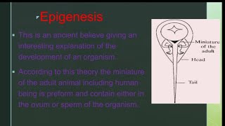 What is Epigenesis biology Epigenesisviralvideo easy noteszoologyclasses [upl. by Oznol]