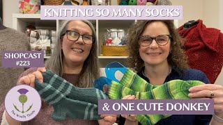 Shopcast 223 Knitting So Many Socks amp One Cute Donkey [upl. by Subir]