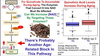 Grape Seed Proanthocyanidins Increase NAD [upl. by Chaker]