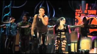 Harmonia do Samba  Swing Sangue Bom  Dvd Selo de Qualidade Ao Vivo [upl. by Nerraj267]