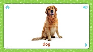 Dog  Pets and Farm Animals  Flashcards for Kids [upl. by Oiluig600]