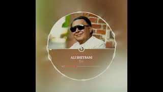 ali sheybani dj dj persian music [upl. by Bilow]