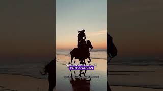 Khalid bin Walid Sang Pedang Allah yang Tak Terkalahkan [upl. by Britteny268]