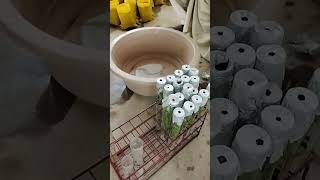 Hardening process tissue culture plants of date palm [upl. by Karr]