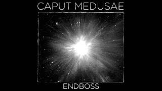 Caput Medusae  Endboss [upl. by Orabel967]