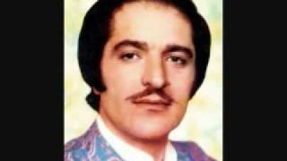 Reza Sadeghi  Hame On Rooza I Live In Concert  رضا صادقی  همه ی اون روزا [upl. by Krasner]