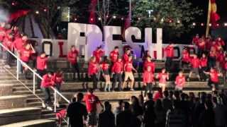 Collingwood Fresh Air 2013 The Highlight Reel [upl. by Deery]