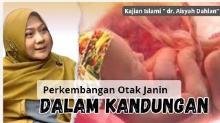 PERKEMBANGAN OTAK JANIN DALAM KANDUNGAN  KAJIAN ISLAMI  dr Aisyah Dahlan [upl. by Ayanal]