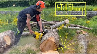 Chainsaw tips  How to Buck Logs on the Ground [upl. by Fein325]