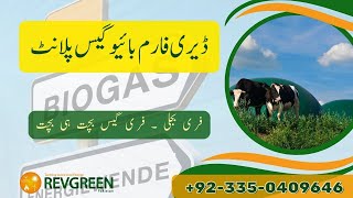 Dairy Farm Biogas Plant 150 KW Biogas Plant Revgreen Pakistan [upl. by Lavern]