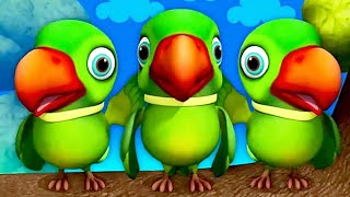 main tota main tota hare rang ka hun dikhta  new budgerigar video🦜 trending [upl. by Barrada]