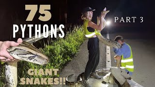 Hunting Pythons for 40 Nights in a row part 3 [upl. by Sethi]